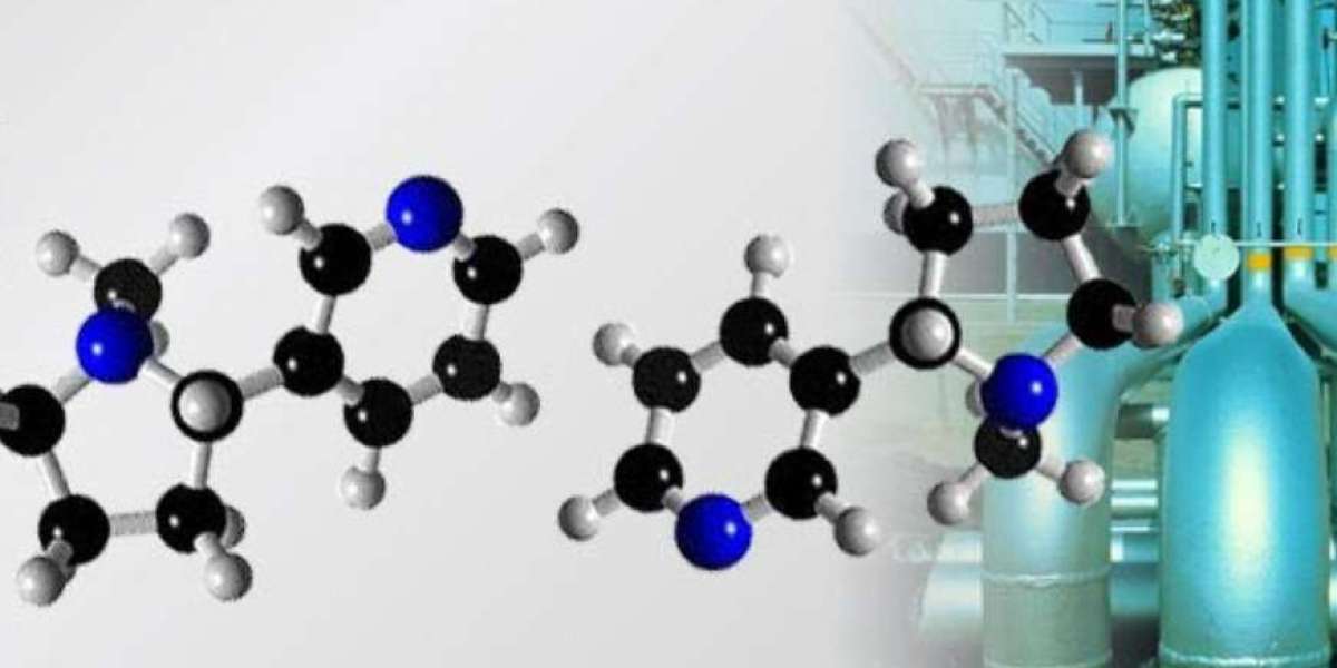 KareBay Biochem: Pioneering Comprehensive Solutions for Laboratory Success