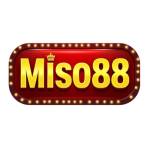 miso88nohu Profile Picture