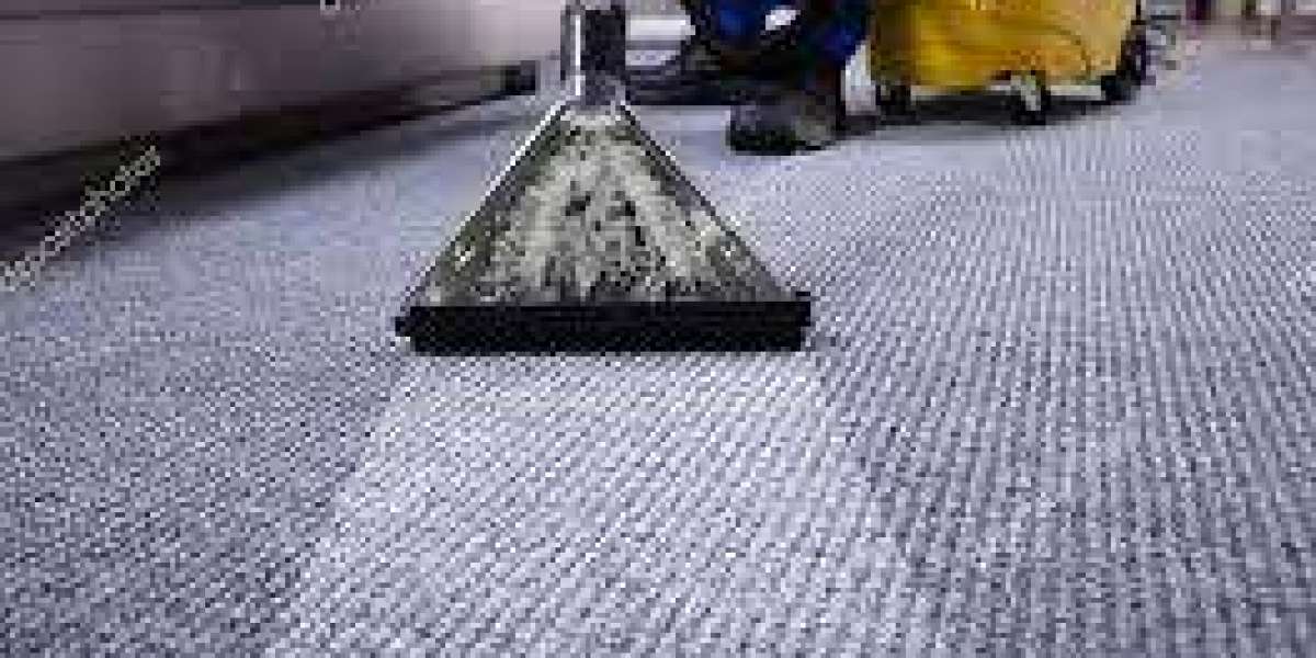 How Professional Carpet Cleaning Helps Alleviate Allergy Symptoms