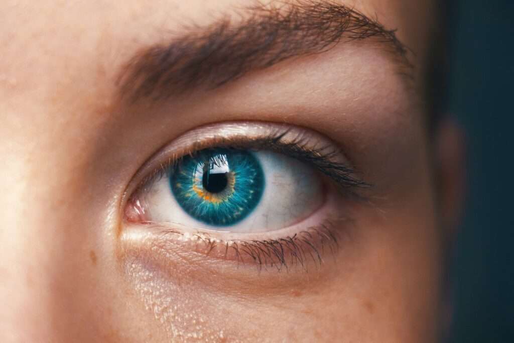 Contact Lenses in Oakville - Find Your Perfect Lenses