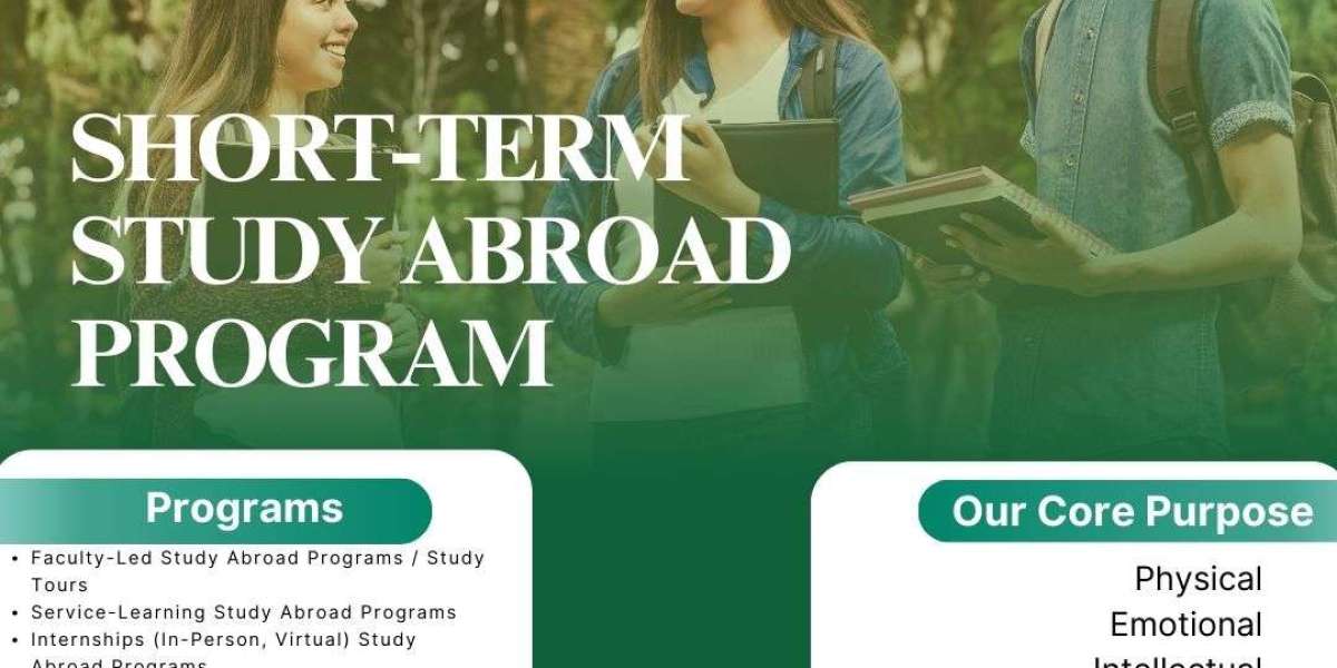 Study Abroad Programs: The Key to Global Success