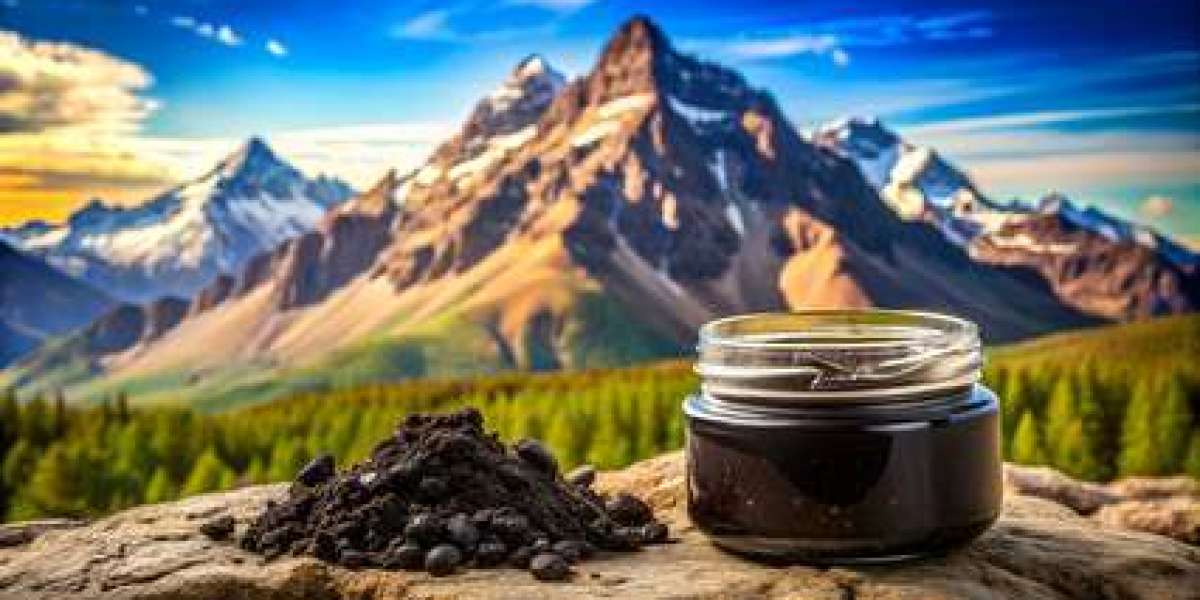 Himalayan Shilajit Nature’s Ancient Health Secret