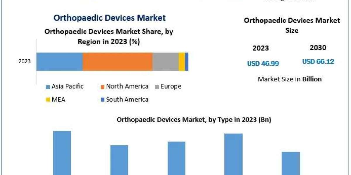 Orthopaedic Devices Market Analyzing Market Share, Growth Paths, and Technology Evolution | 2024-2030