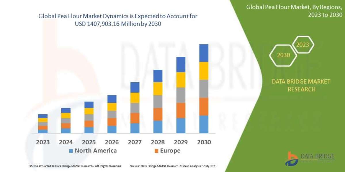 Pea Flour Market Size, Share, Trends, Growth Opportunities and Competitive Outlook