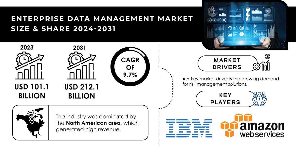 Enterprise Data Management Market Growth Drivers and Opportunities