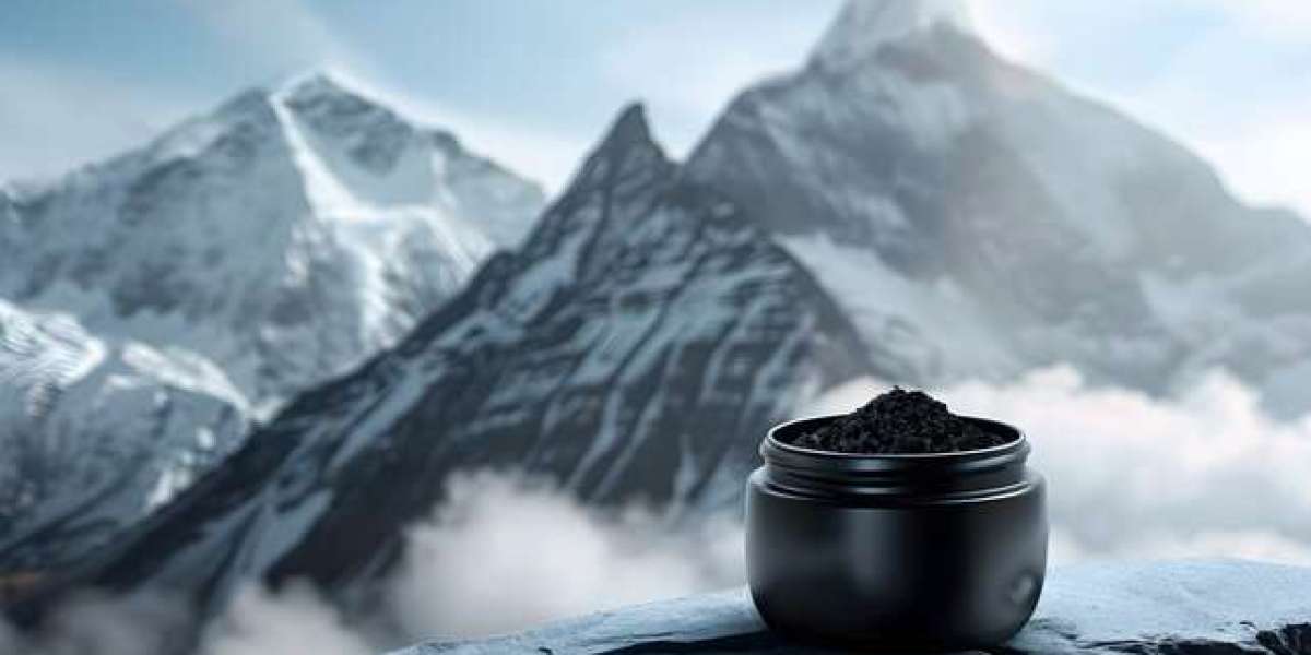 Himalayan Shilajit Nature’s Ancient Health Secret