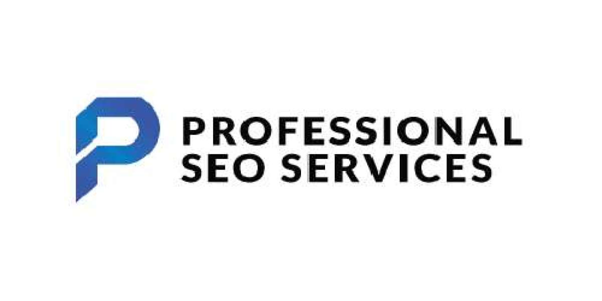 Professional SEO Services in Pakistan: Unlocking Success in the Digital World