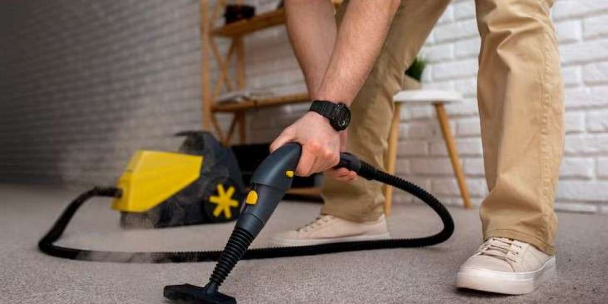 Expert Carpet Cleaner Services: What to Look For