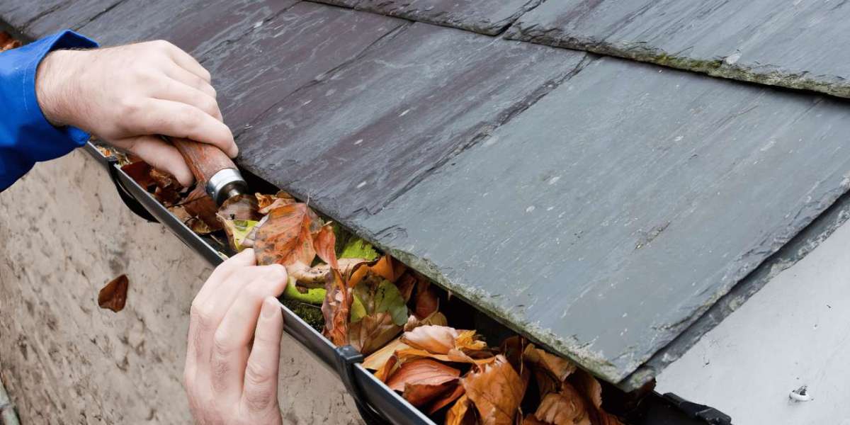 The Essential Benefits of Gutters and Roof Cleaning: Protecting Your Home from Damage