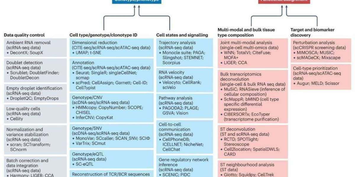 Single-Cell RNA Sequencing in Drug Discovery and Development