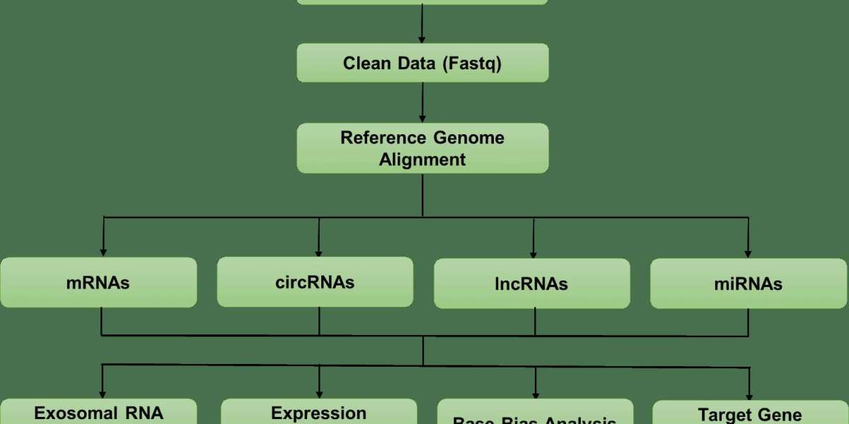 The Role of Exosome RNA in Cancer