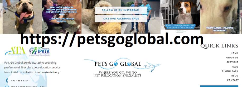 Petsgo global Cover Image