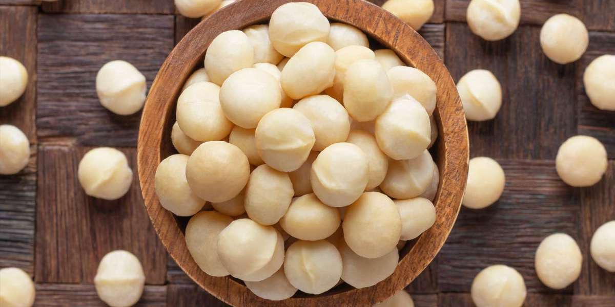 Macadamia Market Size, Global Trends & Forecast 2024-2032