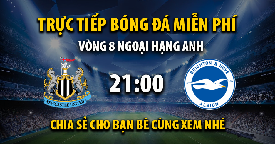 Link trực tiếp Newcastle United vs Brighton 21:00, ngày 19/10 - Icenetwork.com