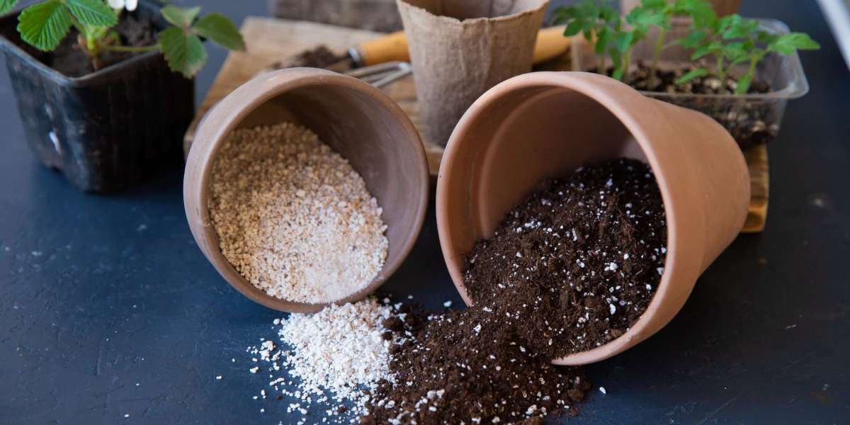 Why Perlite Is Essential for Indoor Plants and Container Gardening