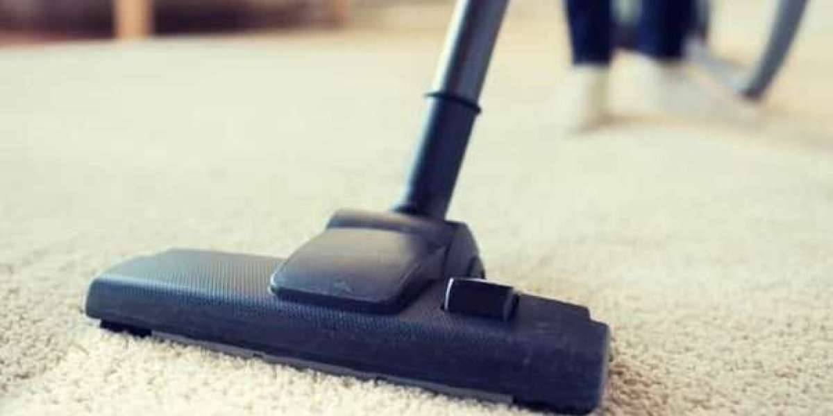 Why Professional Carpet Cleaning is Essential for a Healthy and Beautiful Burlington Home