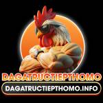 dagatructiepthomo info Profile Picture