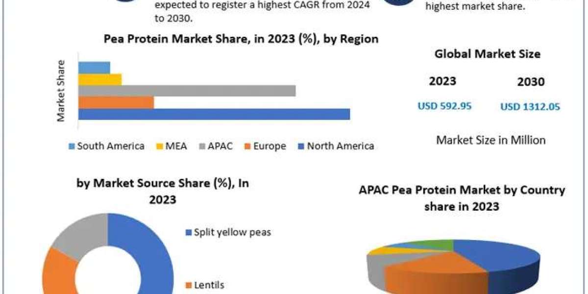 Pea Protein Market Insights: Exploring the Nutritional Benefits and Applications