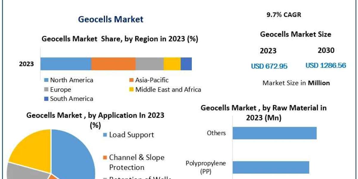 Geocells Market Market Momentum: Trends, Size, Share, and Growth | 2024-2030