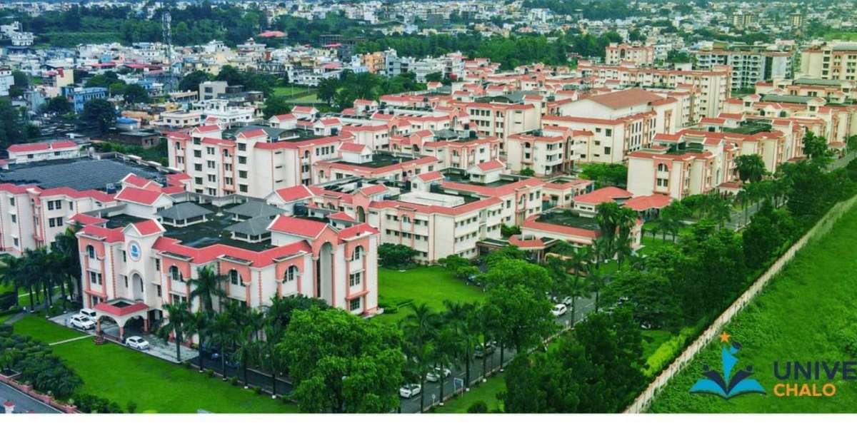 5 Reasons Students Choose Uttaranchal University Every Year