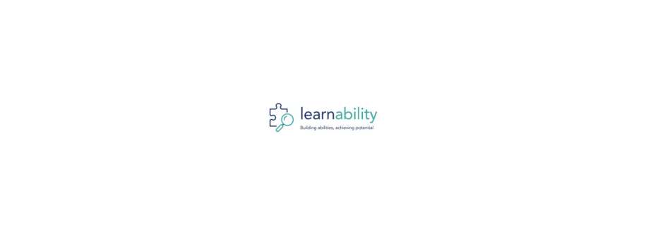 The Learnability Cover Image