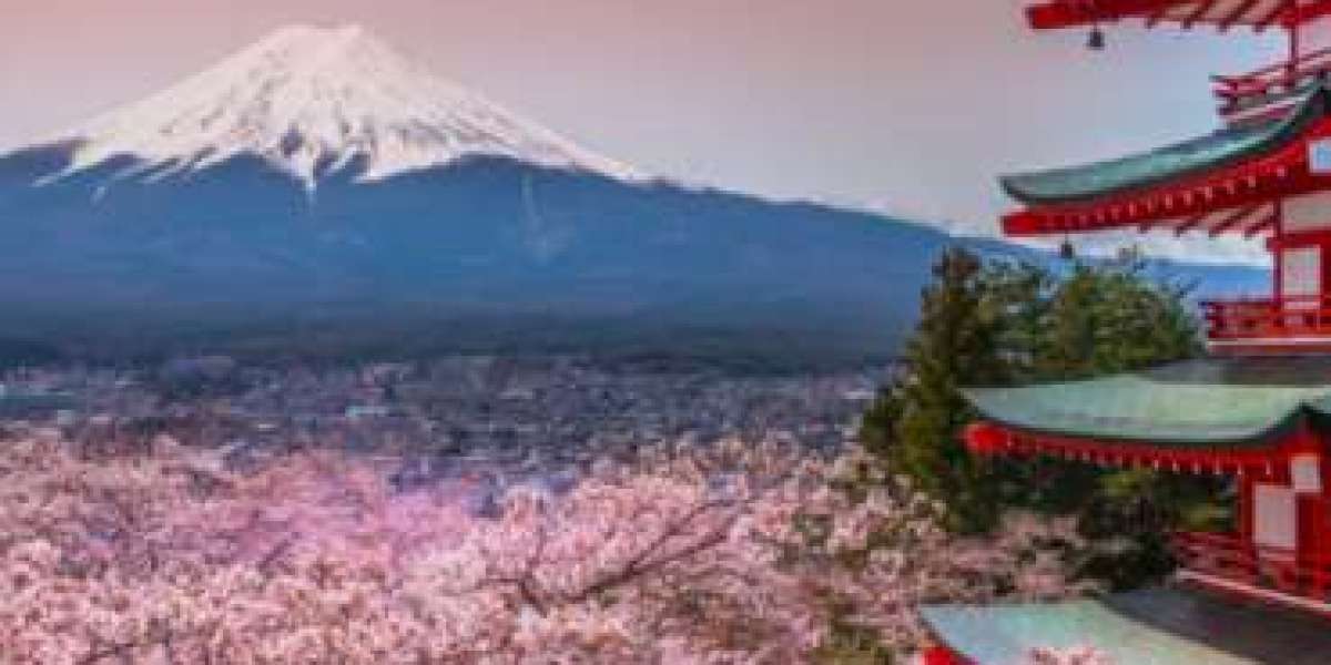 Uncover Tokyo’s Secrets with Tokyo Grand Tours