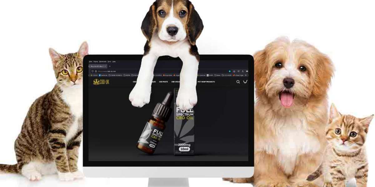 CBD for Pets in the UK including Pet CBD Oil & The Law Regarding PET CBD Sales