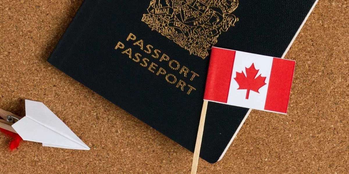 Comprehensive Guide to Obtaining a Canada Visit Visa: Everything You Need to Know