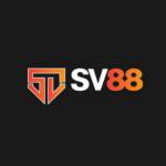 SV88 Profile Picture