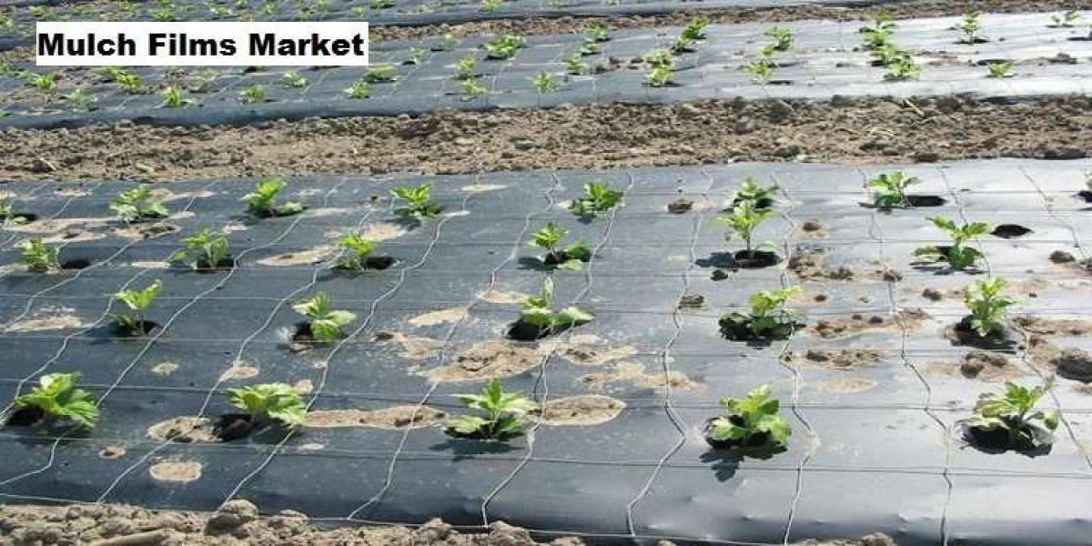 Mulch Films Market Expansion Driven by Demand for Eco-friendly Mulch Films