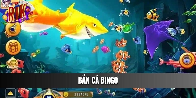 Bắn Cá Bingo - Cổng Game Giải Trí Bắn Cá Hàng Đầu Việt Nam