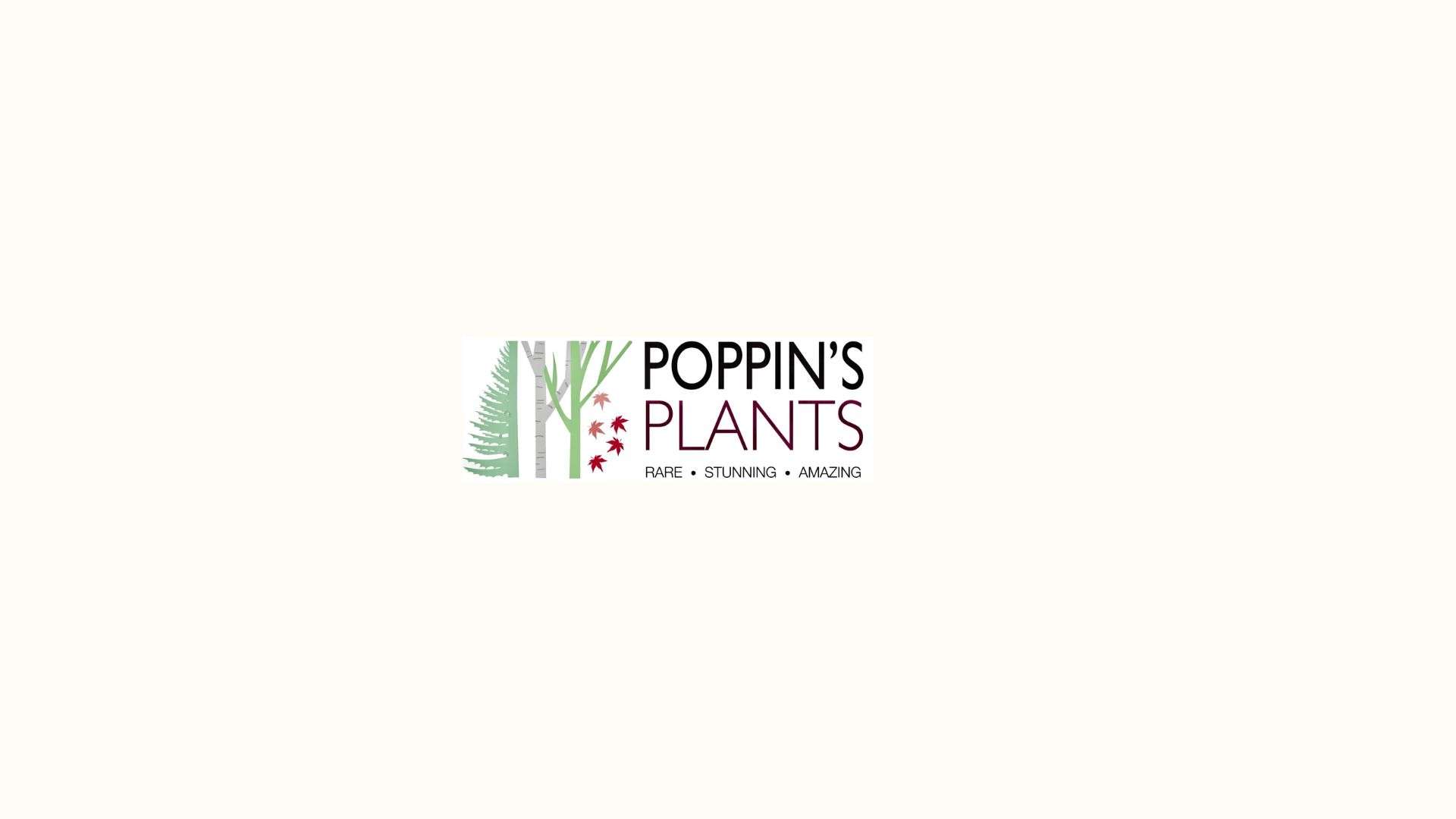 poppinsplant Profile Picture