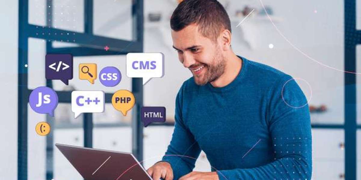 Why Your Business Needs a Web Development Company: Benefits and Insights