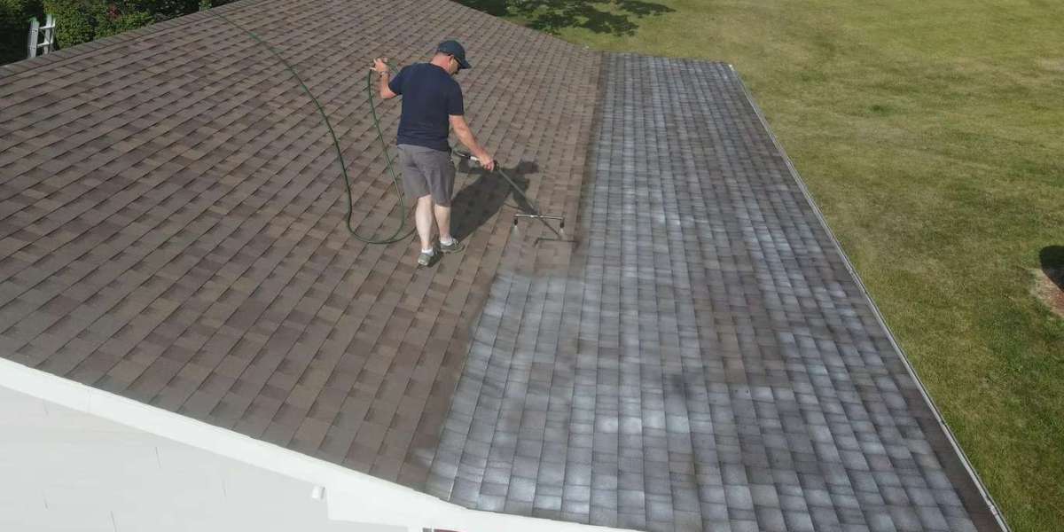 Revive Your Old Roof with Shingle Spray and Roof Rejuvenation