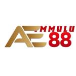 AE88 fmmulu Profile Picture