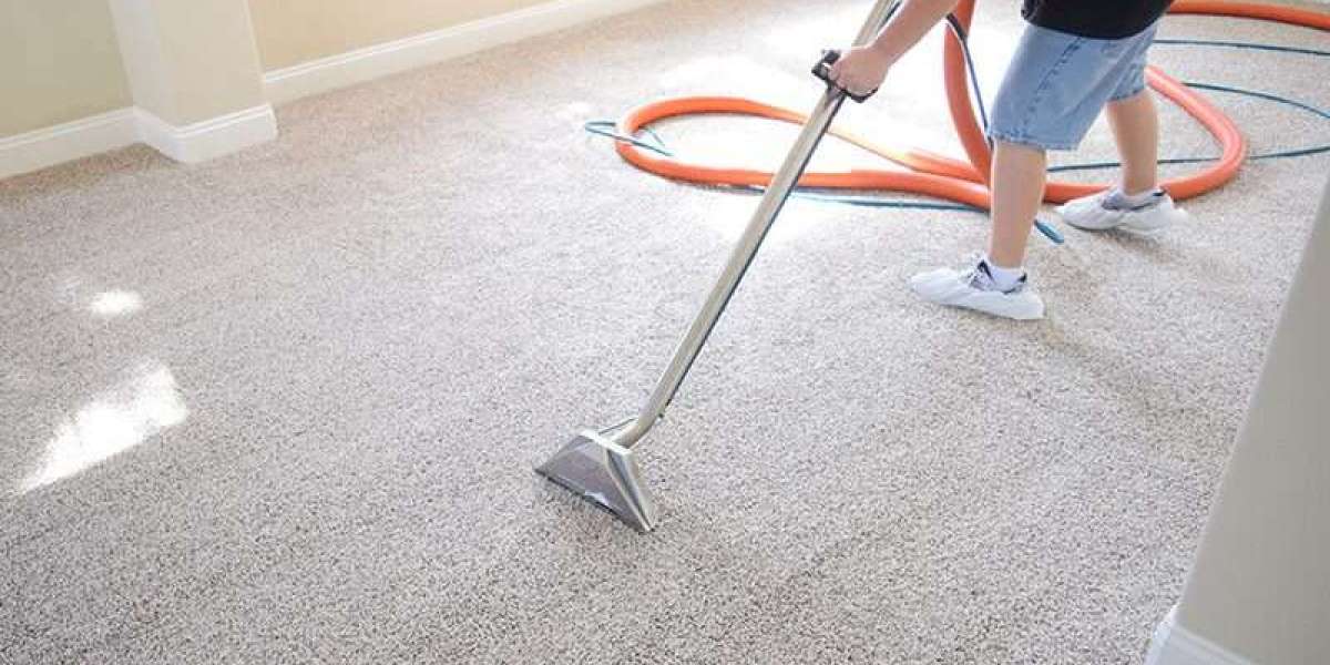 The Benefits of Carpet Cleaning for a More Pleasant Home