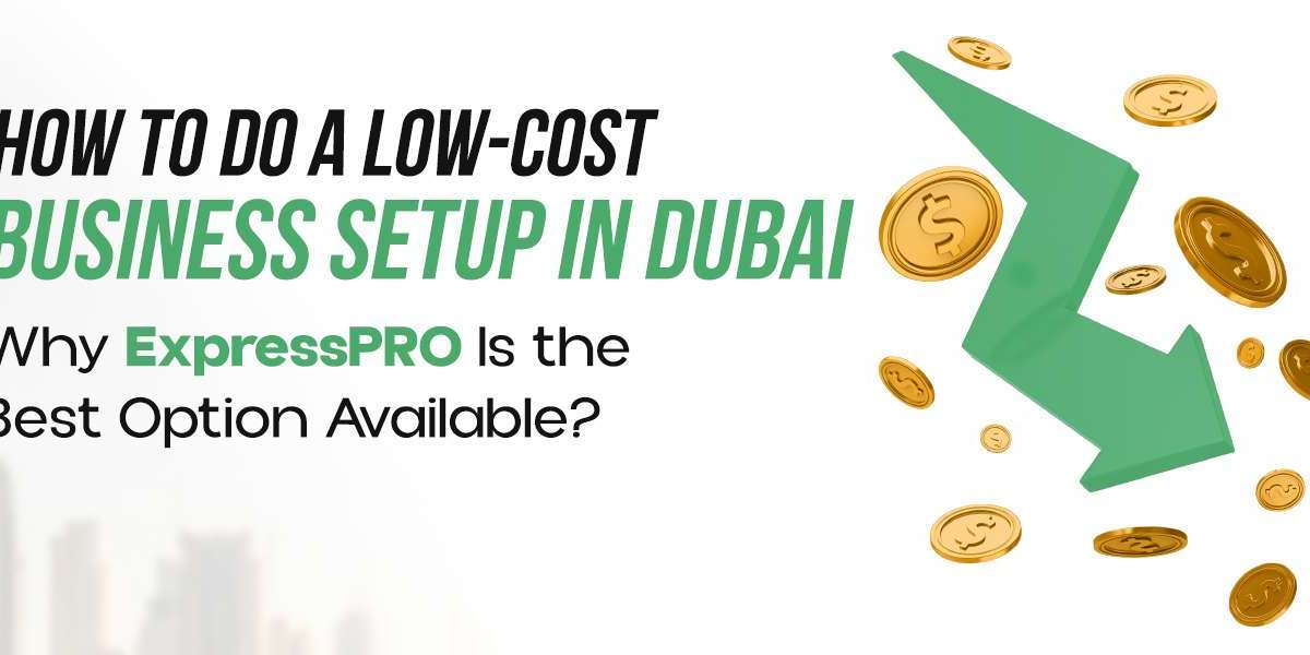 How to Do a Low-Cost Business Setup in Dubai?