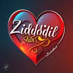 zididil tv Profile Picture