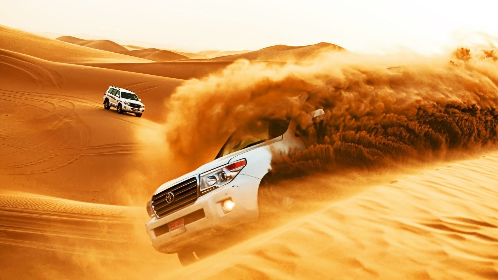 Arabian Desert Safari Dubai | Best Tours in Dubai 2024/2025