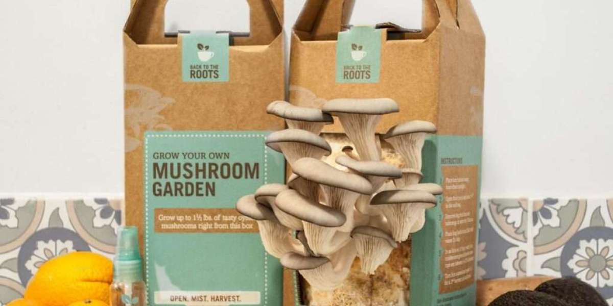 Custom Mushroom Boxes: The Perfect Solution for Freshness and Branding