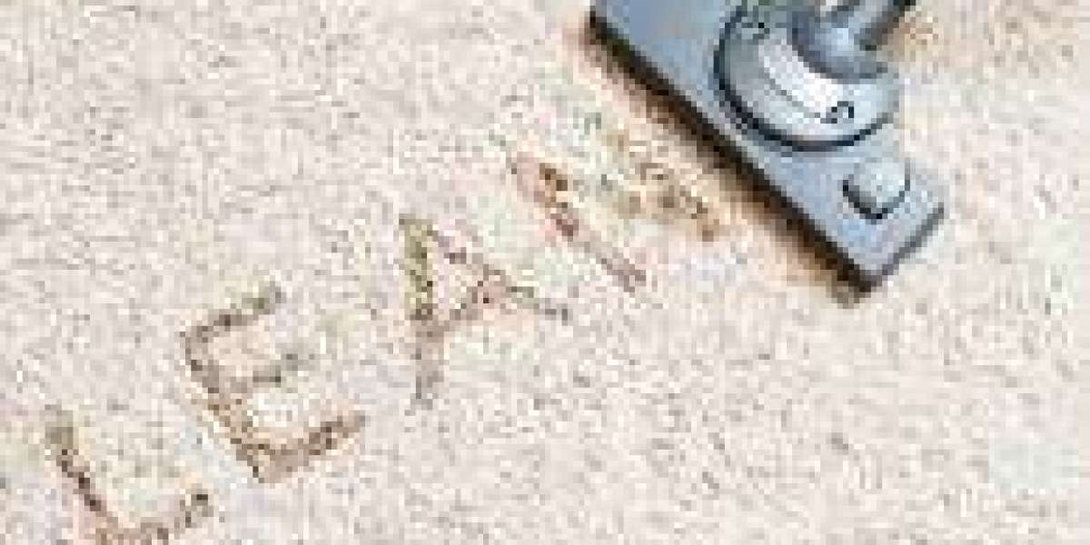 How Carpet Cleaning Improves Home Comfort and Reduces Allergens