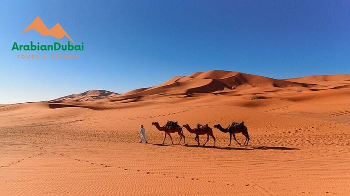 The Best Arabian Desert Safari in Dubai: A Journey into Adventure and Luxury | by Arabian Dubai Tour | Dec, 2024 | Medium