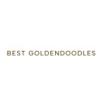 Best Goldendoodles Profile Picture