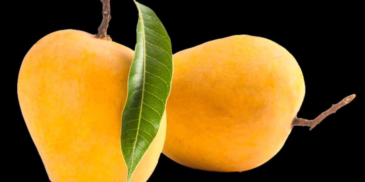 Devgad Alphonso Mangoes – Fresh, Organic, and Handpicked