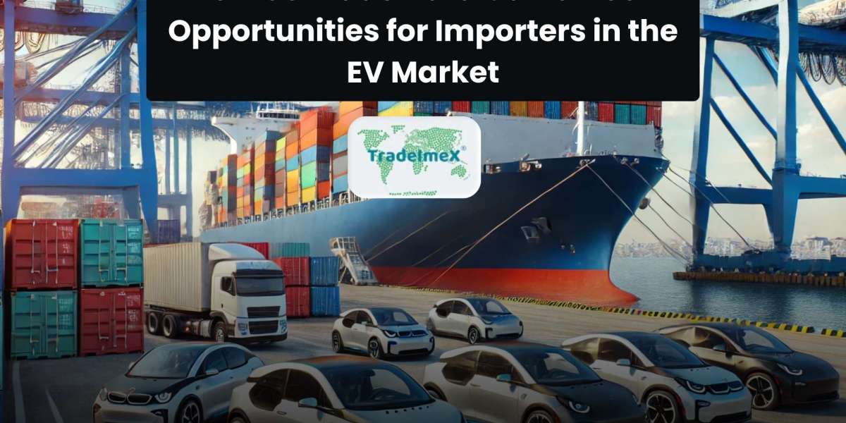 How US Trade Data Can Unlock Opportunities for Importers in the EV Market