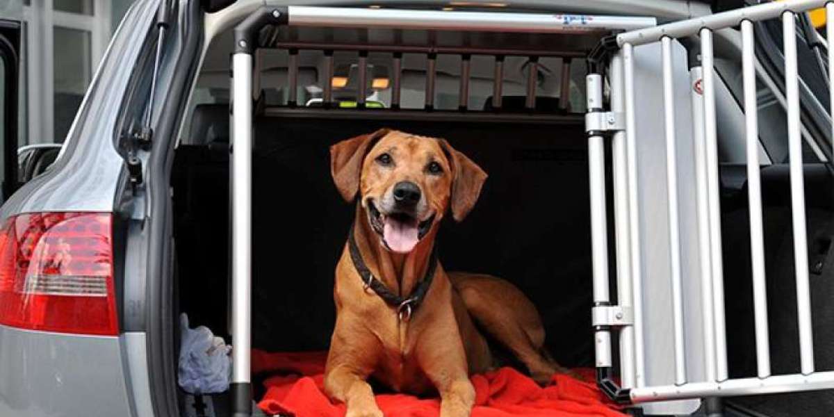 Who Should Choose Door-to-Door Pet Transport?