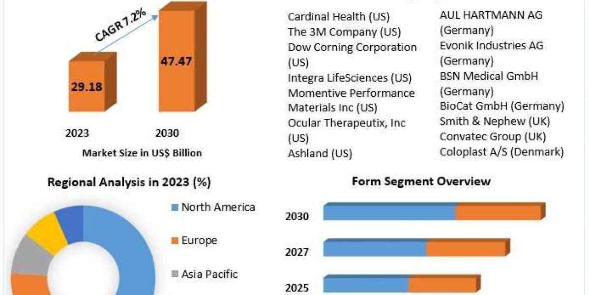 Hydrogel Market Study, Magnitude, Major Catalysts, and Expected Changes