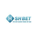 Shbet place Profile Picture